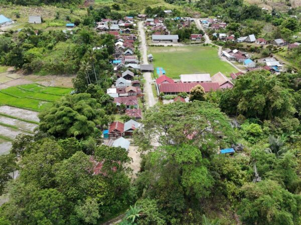 Sejarah Perjuangan Desa Katu: Dari Pemindahan Paksa hingga Pengakuan Adat di Taman Nasional Lore Lindu