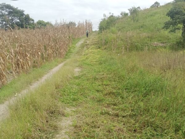 Pembersihan Jalan Usaha Tani di Desa Katu Selesai Dilaksanakan