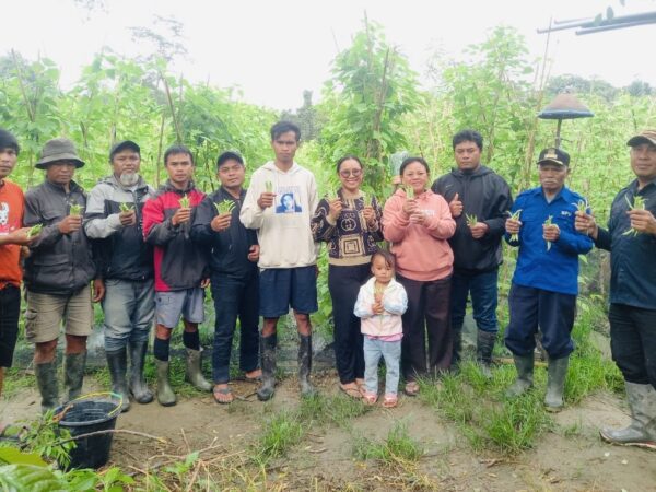 Panen Perdana BUM Desa Ngkanino Lestari Desa Katu: Bukti Nyata Kemandirian Ekonomi Desa 