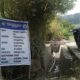 Pembangunan Drainase di RT 04 Dusun II Desa Katu Rampung 100 Persen