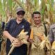 WVI dan World Vision Australia Kunjungi Desa Katu, Dukung Penguatan Usaha Jagung dan Kelompok Disabilitas