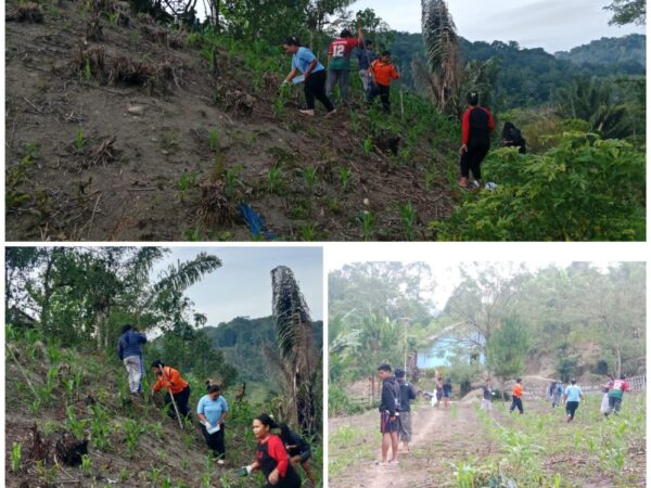 Kader dan Penyandang Disabilitas Laksanakan Pemupukan Kedua Jagung di Kebun Disabilitas