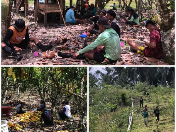 Pemuda Jemaat Pniel Katu Gelar “Mampedurei” untuk Penggalangan Dana